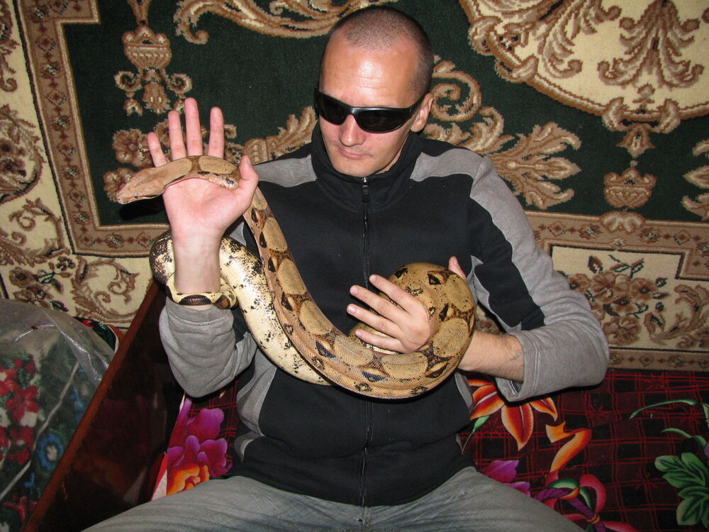  14827477  Andrey, 49 ,    Al Ghardaqah