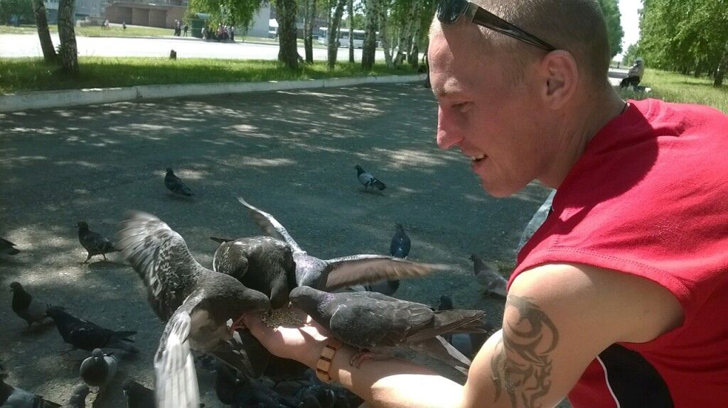 ���������� �����, ���� ������� �������, 38 ���, ������������ ��� ������, ����� � ���������