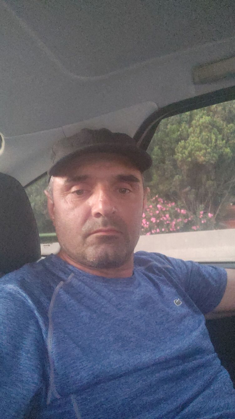  36478867  , 44 ,    