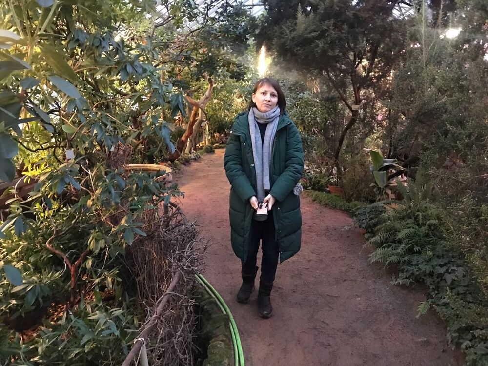 ���������� ���������, ���� ������� ����, 36 ���, ������������ ��� ������, ����� � ���������