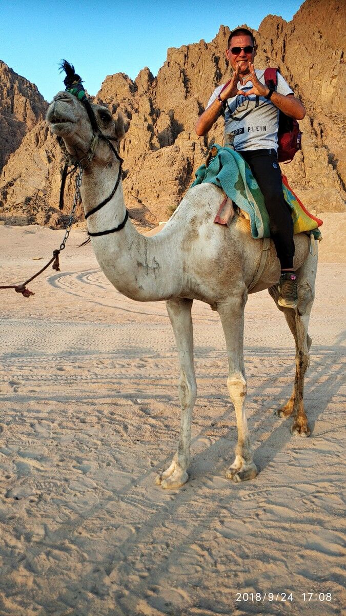 ���������� ������, ���� ������� ���������, 49 ���, ������������ ��� ������