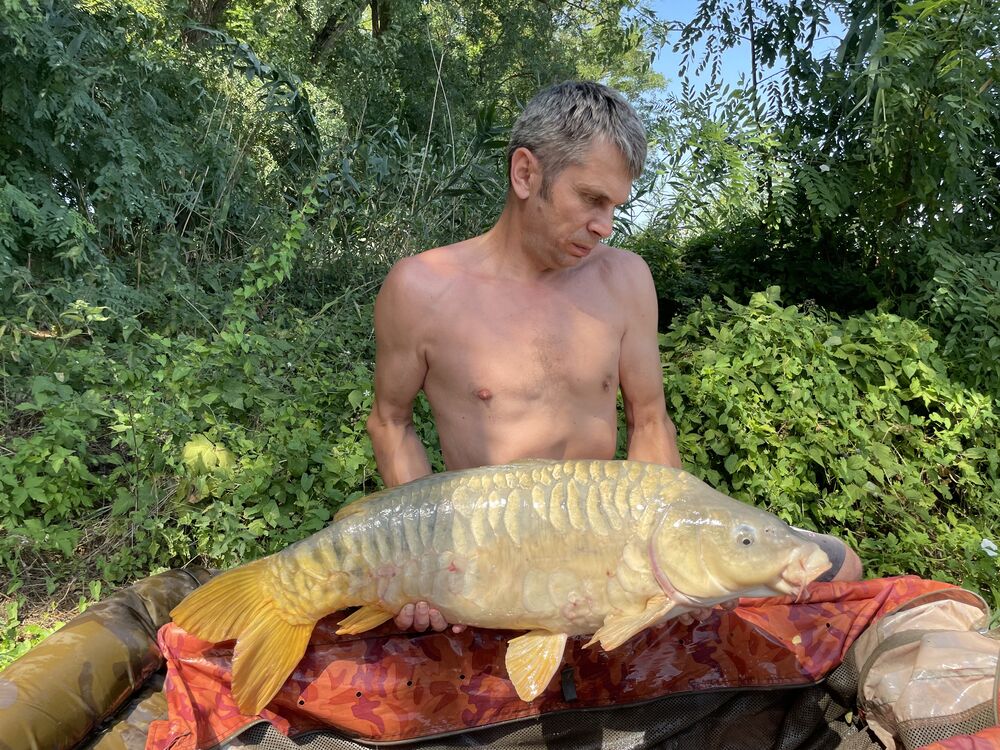 ���������� ������, ���� ������� ������, 43 ����, ������������ ��� ������, ����� � ���������, c�������� ���������