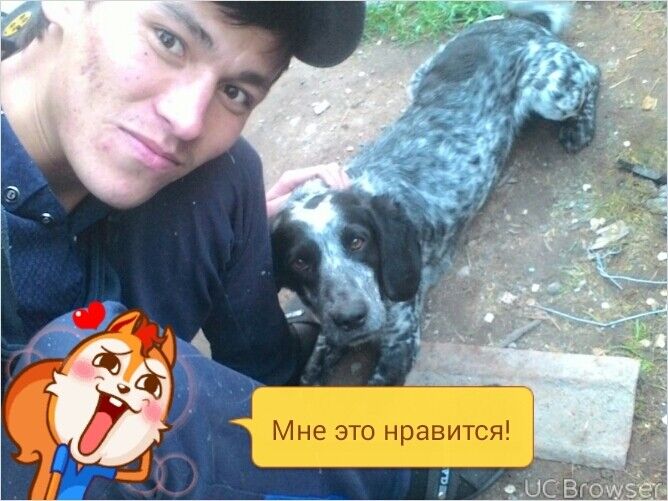  12166687   , 29 ,    