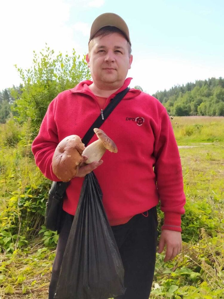  33115257  , 47 ,    -