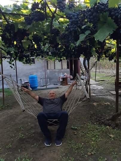 ���� 17741957 ������� ������, 52 ����, ���� ���������� � �������