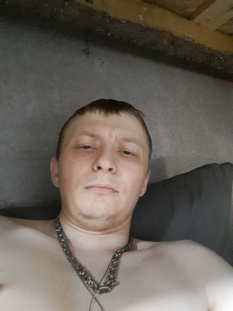  42146667  , 32 ,    