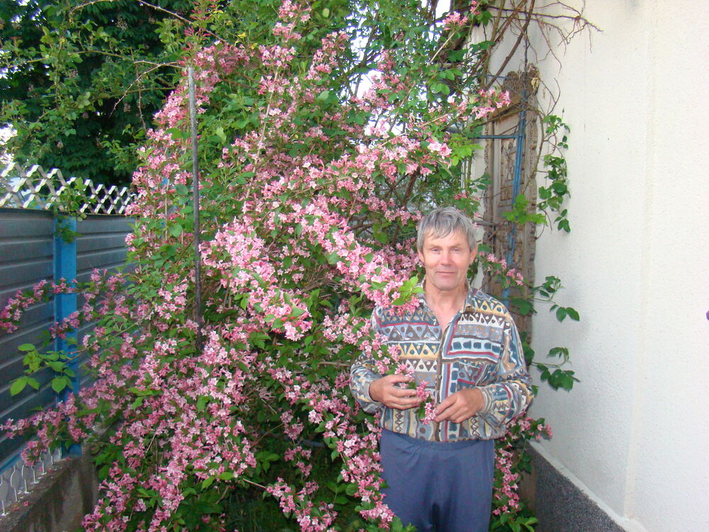 38005647  Vladimir, 68 ,    