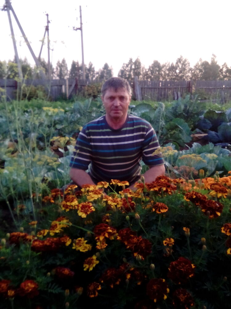 ���� 55582527 ������� �����, 61 ���, ���� ���������� � ����������