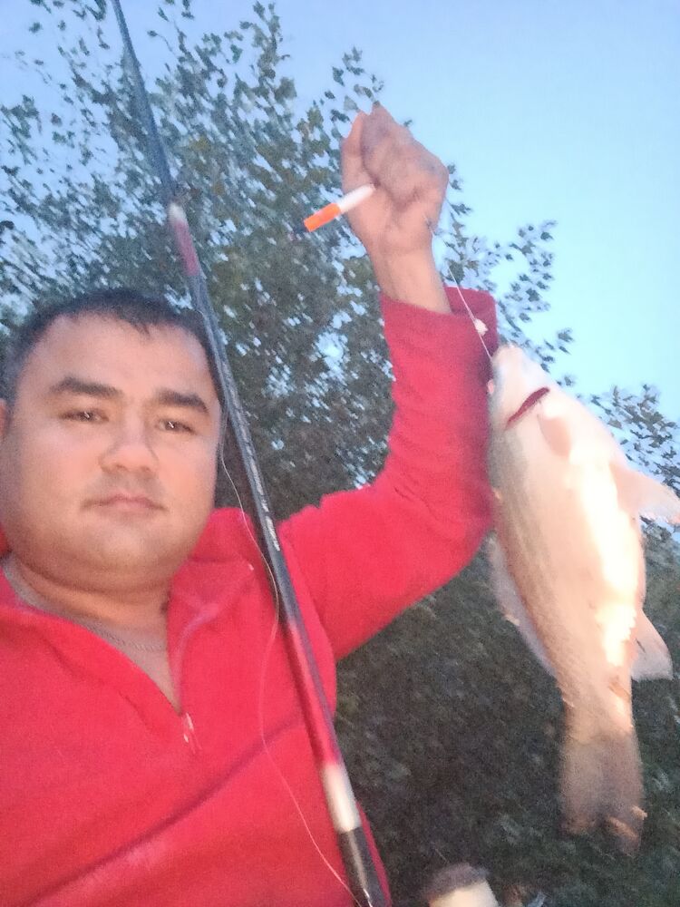  ,   , 31 ,  