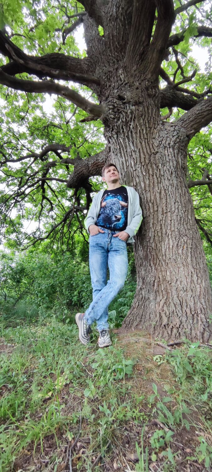 ���������� ���������, ���� ������� ����, 38 ���, ������������ ��� ����� � ���������, c�������� ���������