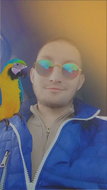  45706597  , 34 ,    