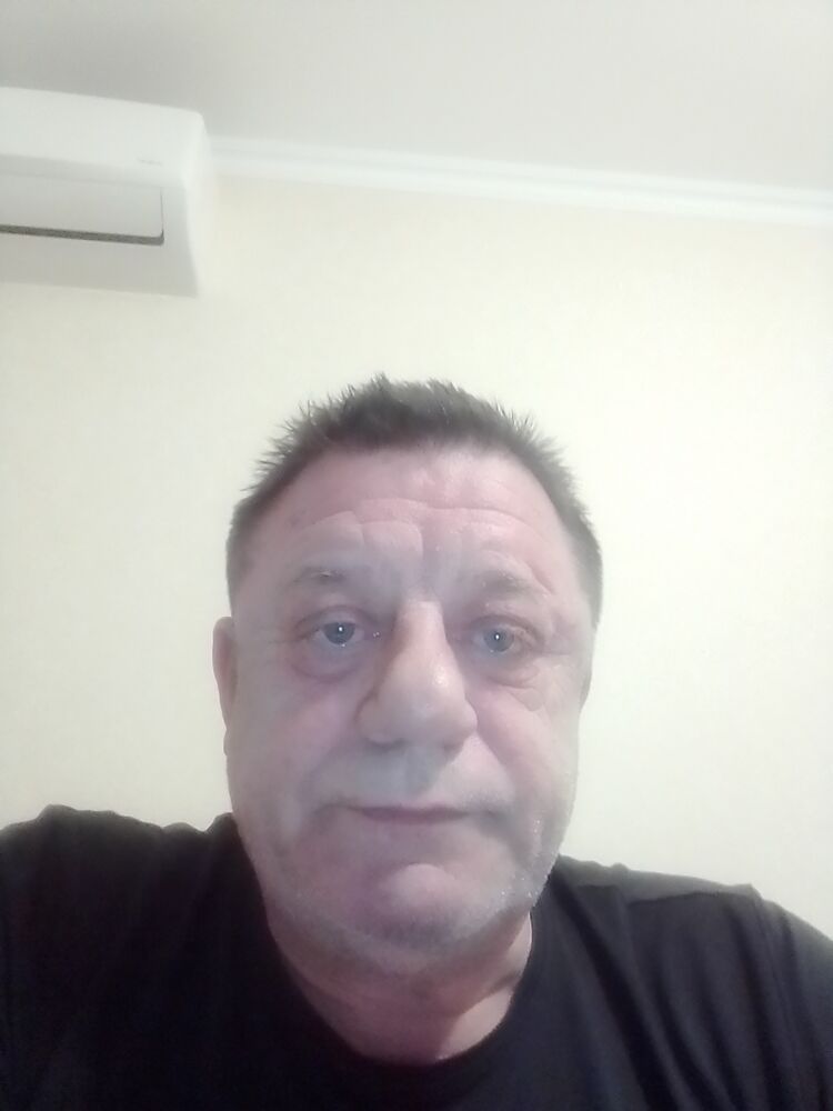  31378157  , 66 ,    