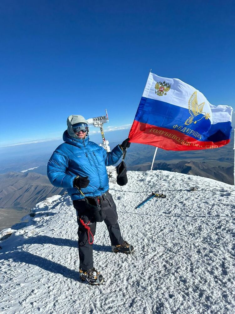 ���� 45965967 ����� ������, 22 ����, ���� ���������� � ������