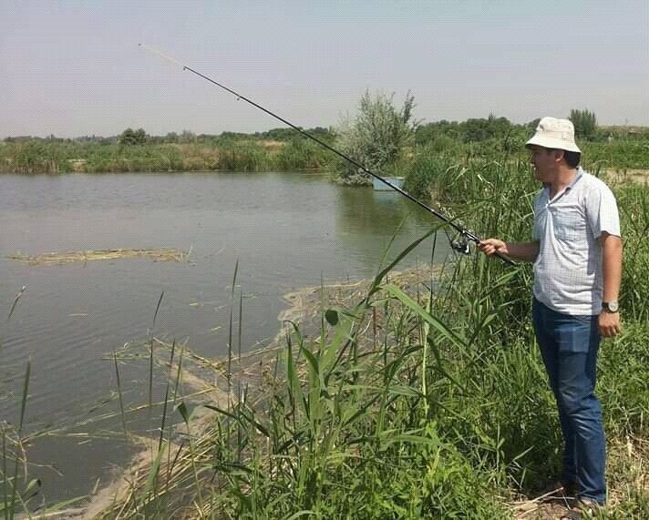 ���������� �������, ���� ������� Anvar, 33 ����, ������������ ��� ������, ����� � ���������, c�������� ���������