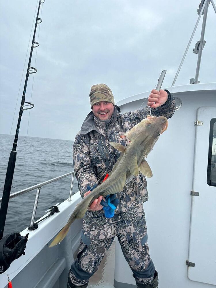 ���� 43204587 ������� ����, 40 ���, ���� ���������� � ���������