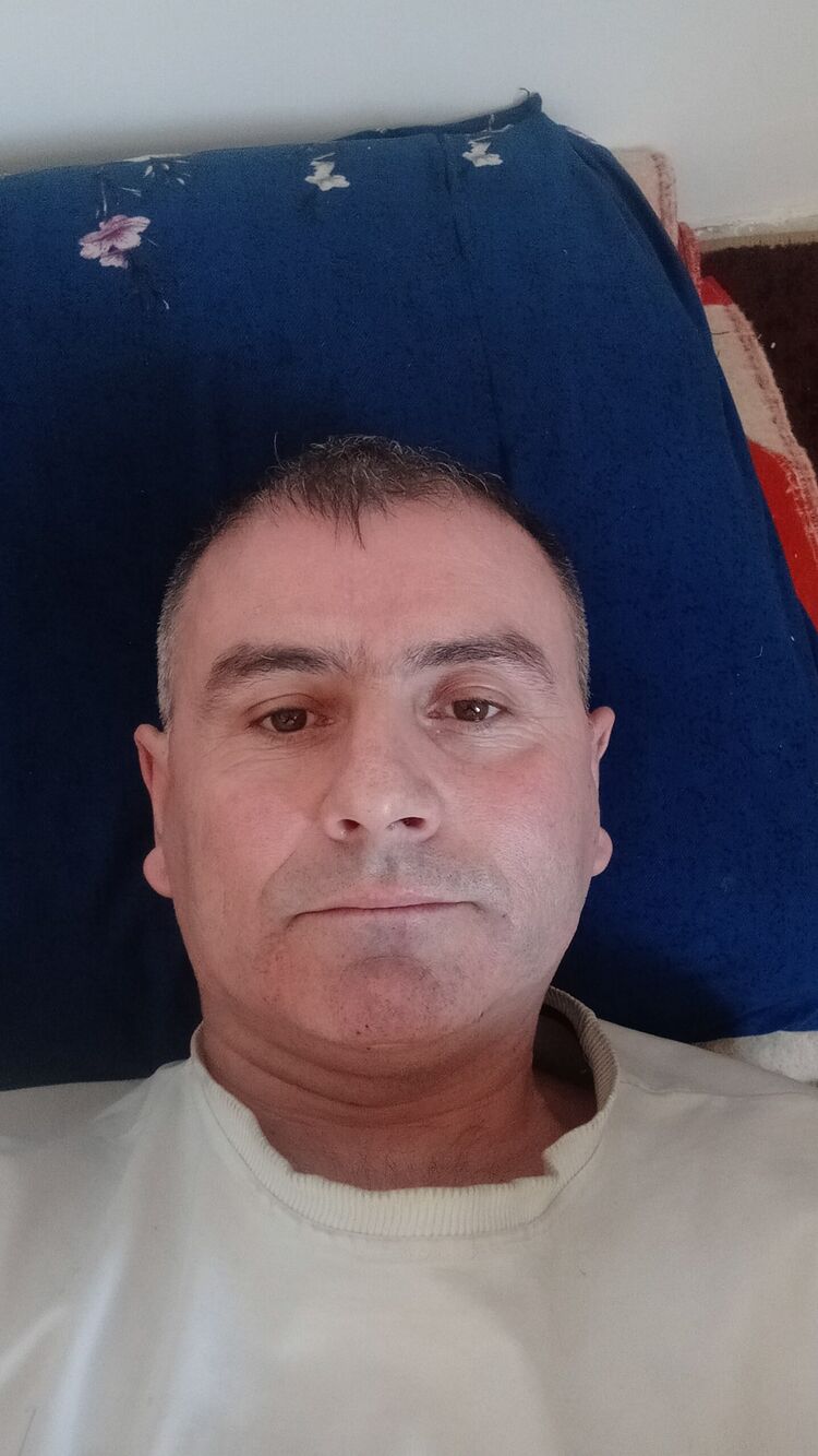 ���� 33541167 ������� ������, 43 ����, ���� ���������� � �����