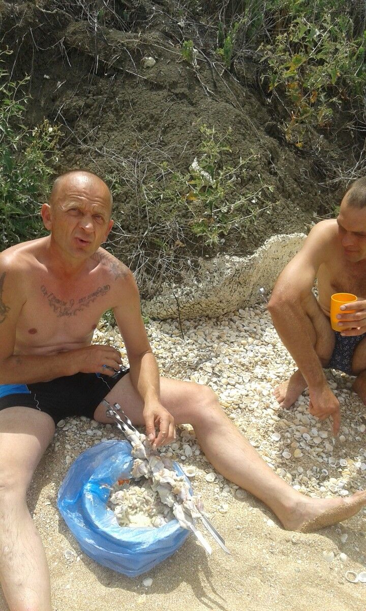  9877287  , 53 ,    