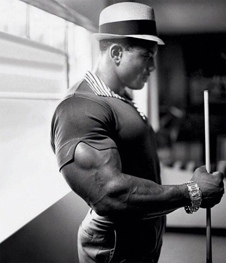  ,   Alpha, 33 ,   ,   