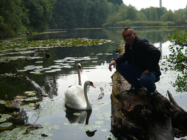 ���� 56125837 ������� Alex, 40 ���, ���� ���������� � ��������