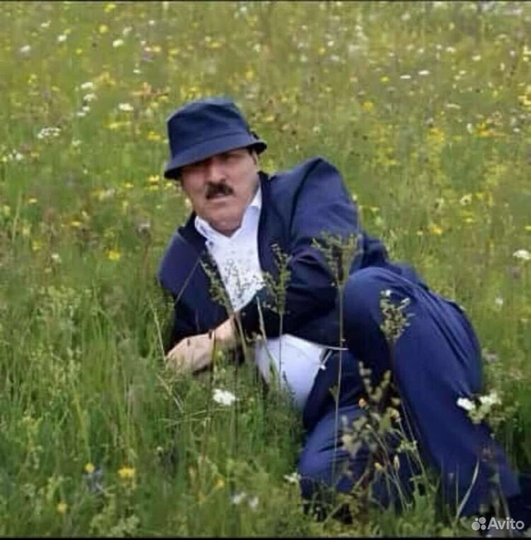 ���� 47038517 ������� ���, 26 ���, ���� ���������� � ������