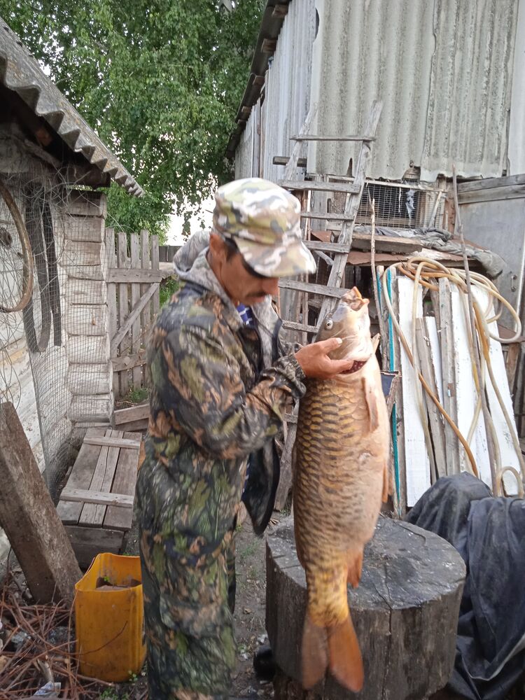  40215337  , 51 ,    