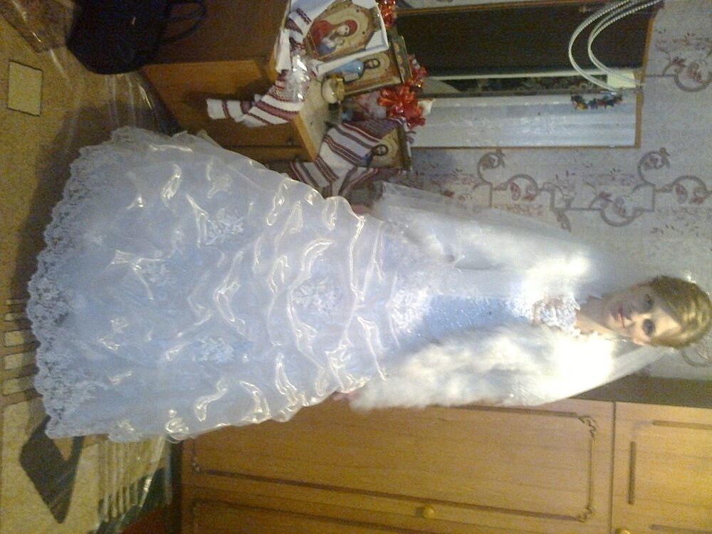 ���� 5372137 ������� ����, 33 ����, ���� ���������� � �����