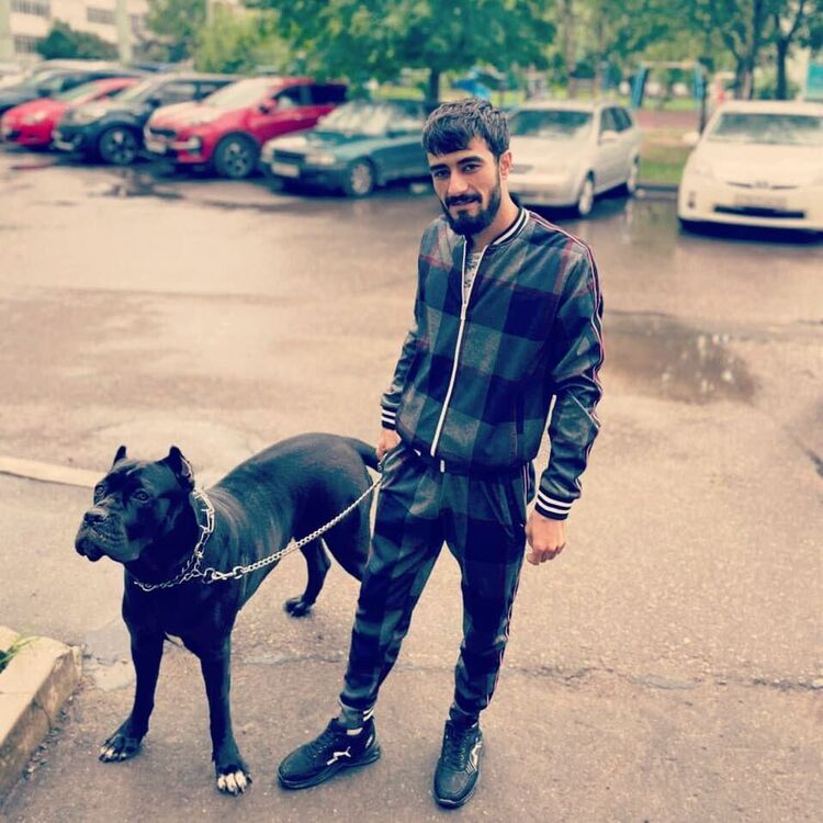 ���� 56234077 ������� ARM, 32 ����, ���� ���������� � �������