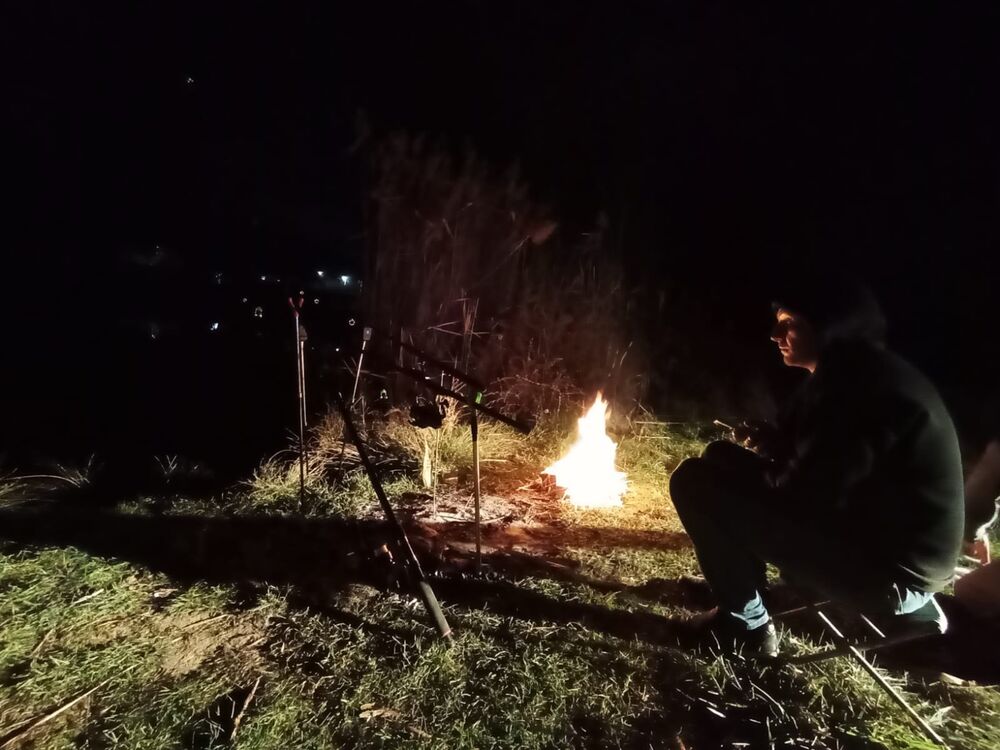 ���� 53389637 ������� ������, 31 ���, ���� ���������� � �����������