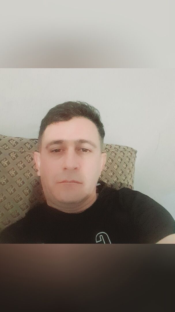  31332687  , 38 ,    