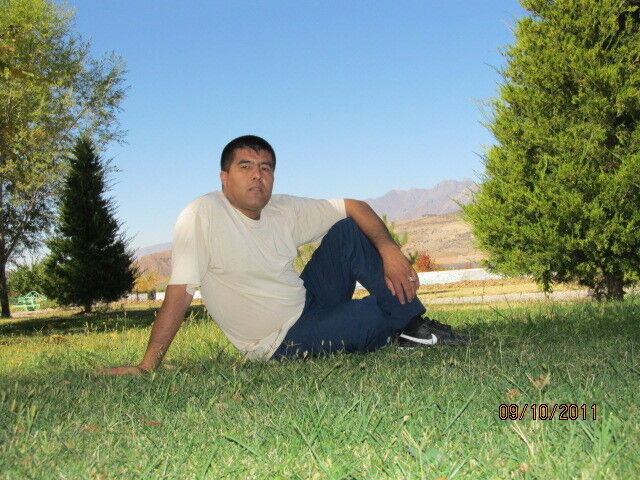  ,   , 43 ,  