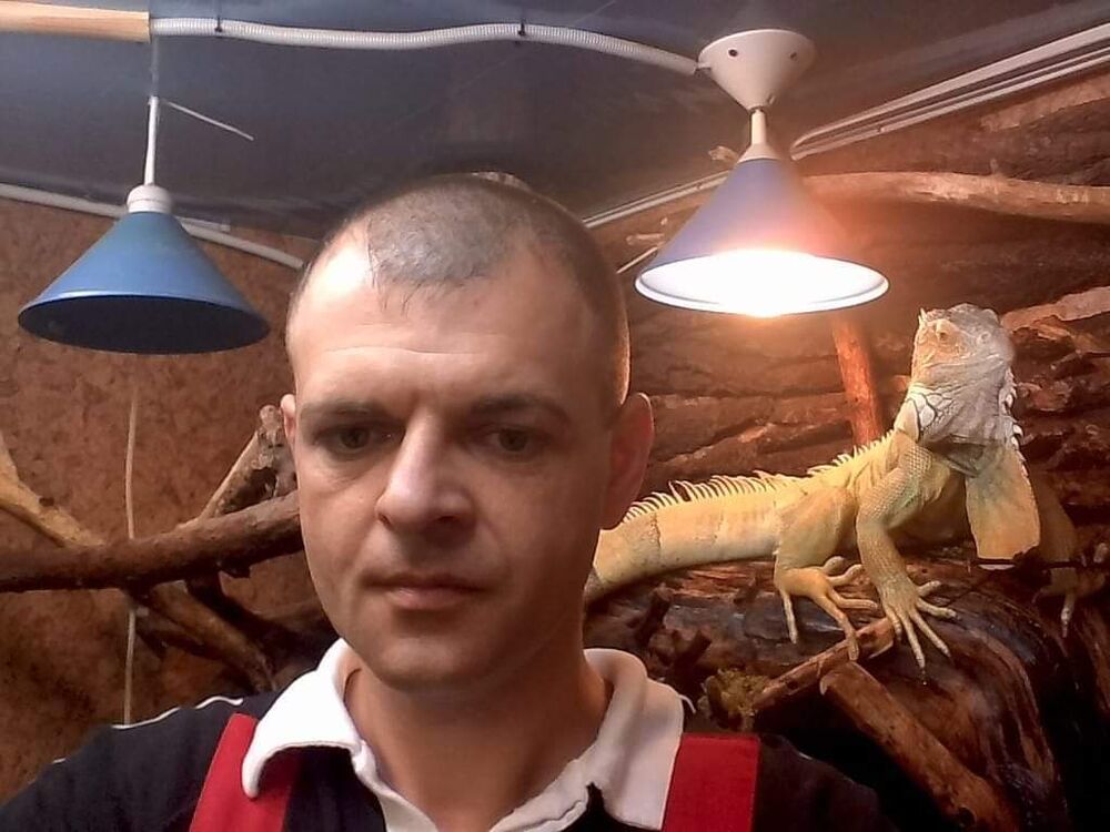  -,   , 50 ,   ,   