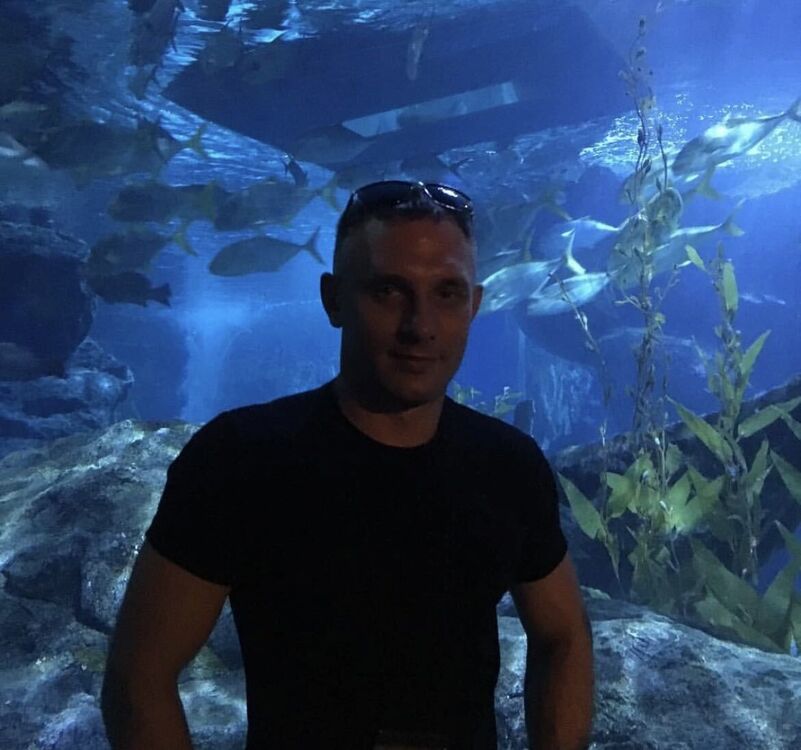 ���������� ������, ���� ������� ����, 31 ���, ������������ ��� c�������� ���������