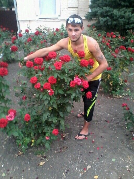  ,   Xyligan, 33 ,  