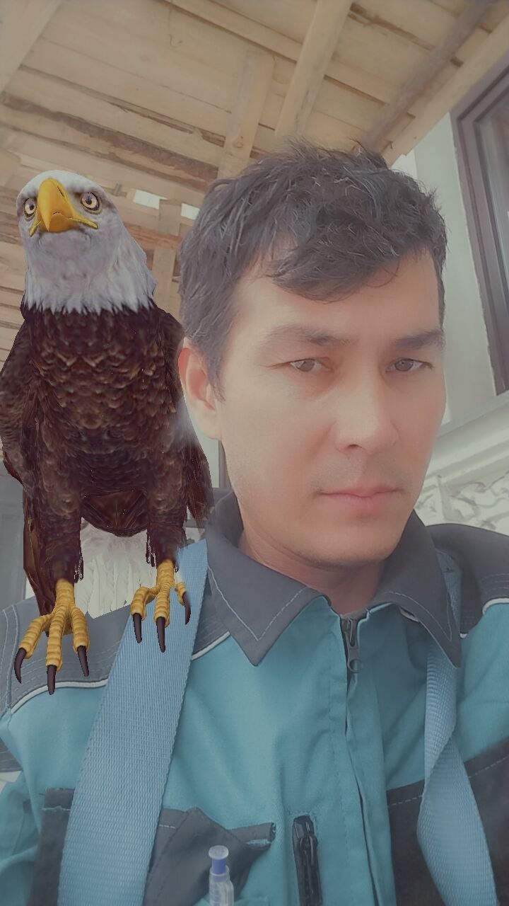 ���� 37294937 ������� ��������, 38 ���, ���� ���������� � ������