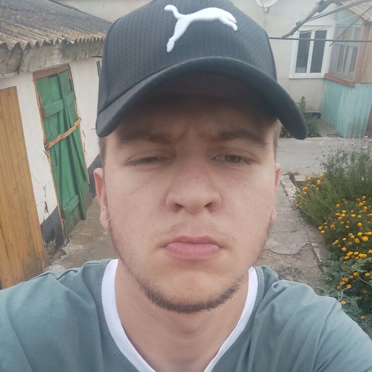  52786577  , 21 ,    