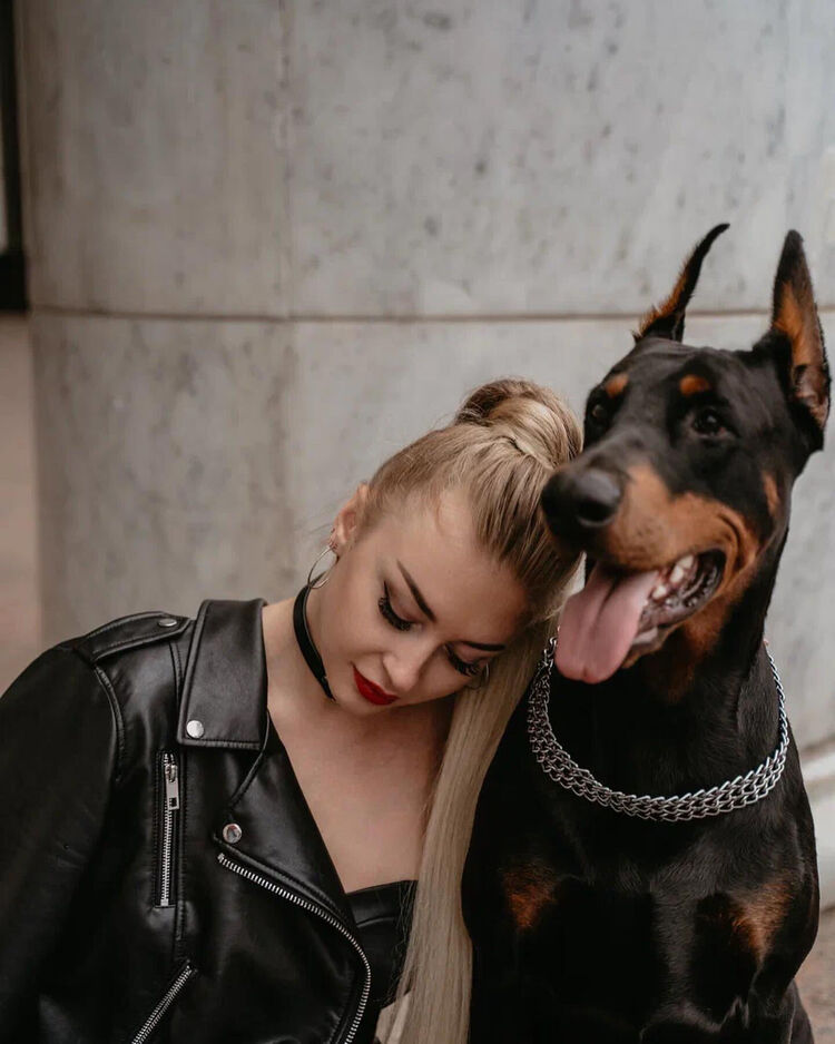 ���������� ���������, ���� ������� ����, 33 ����, ������������ 