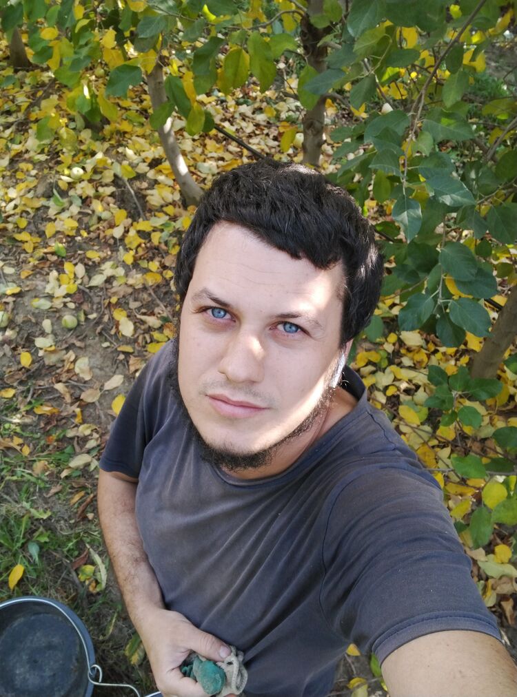 ���� 55791627 ������� ������������, 31 ���, ���� ���������� � ���������