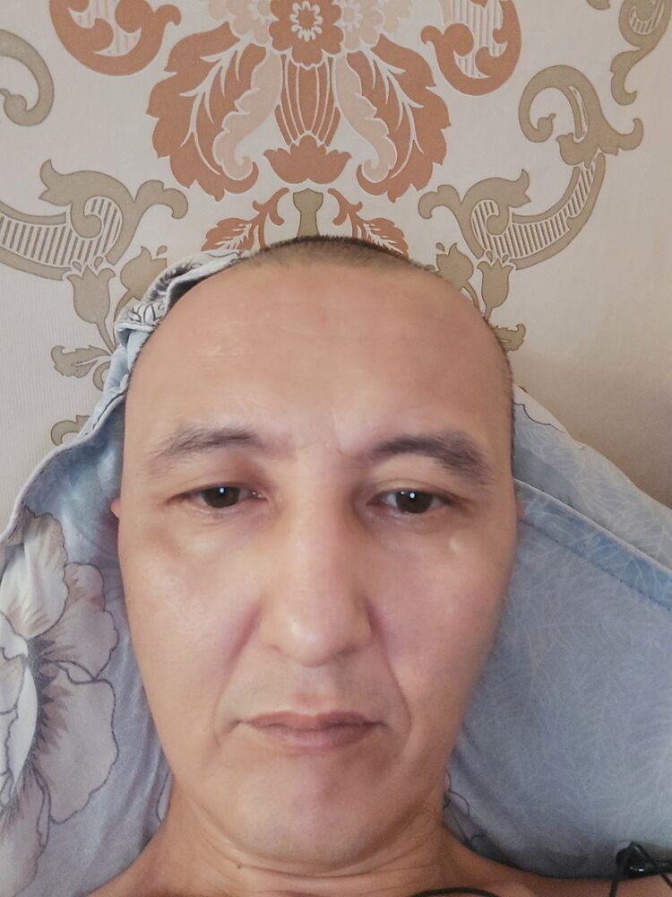  23779207  , 44 ,    
