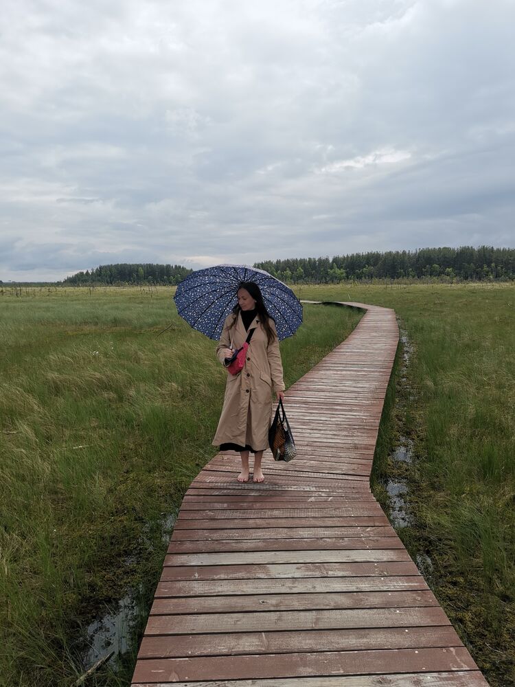  27421577  , 41 ,    -