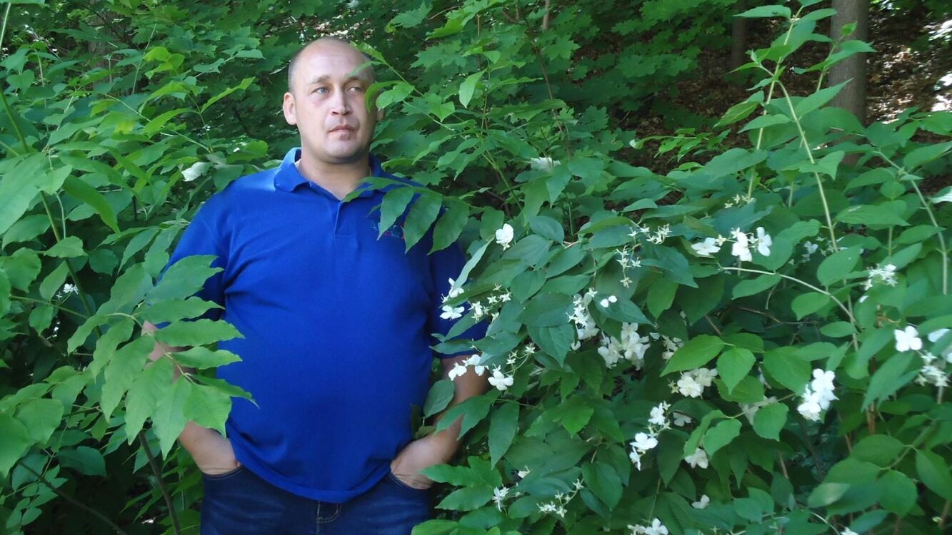 ���� 43478627 ������� �������, 44 ����, ���� ���������� � ��������