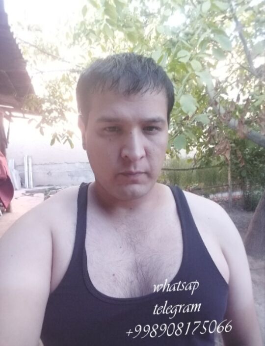  28185107  Javohir, 30 ,    