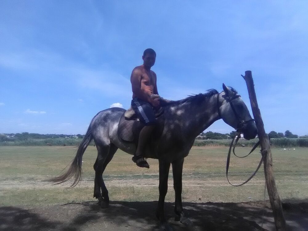  15488247  , 34 ,    