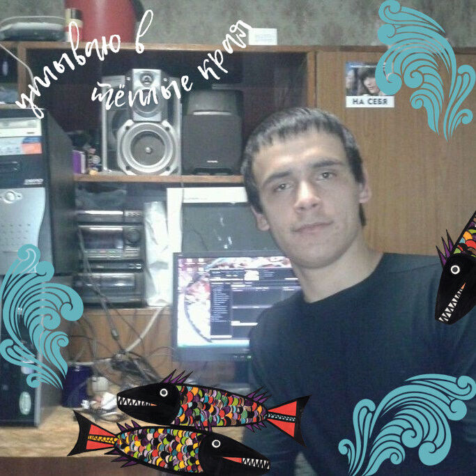  35032677  , 31 ,    