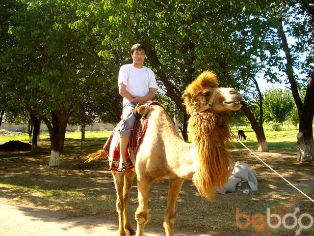 ���������� �������, ���� ������� BAXA, 36 ���, ������������ ��� ����� � ���������, c�������� ���������, ���������