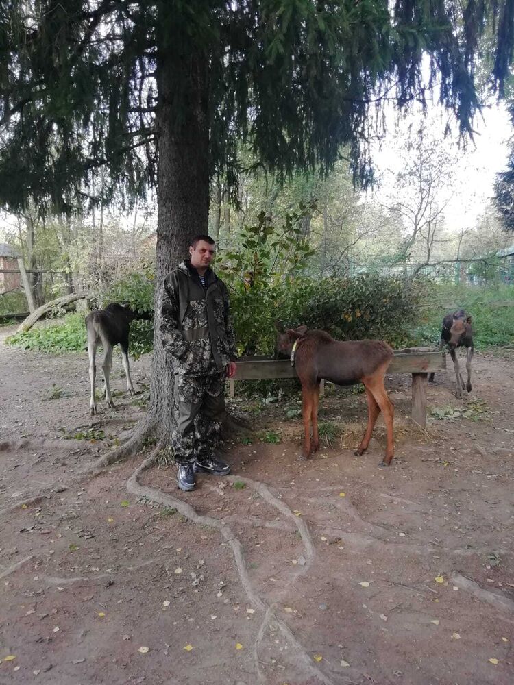 ���� 25439347 ������� ������, 38 ���, ���� ���������� � ��������