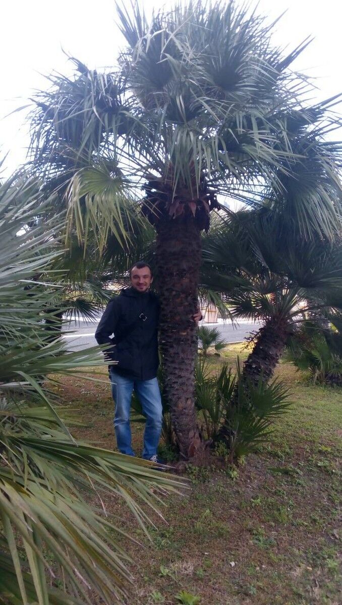  ,   , 36 ,     , c 