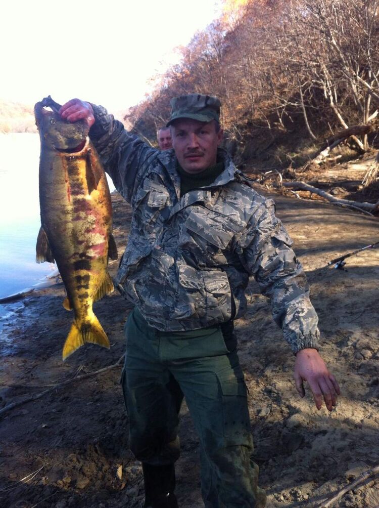 ���������� ������, ���� ������� ������, 46 ���, ������������ ��� ������, ����� � ���������