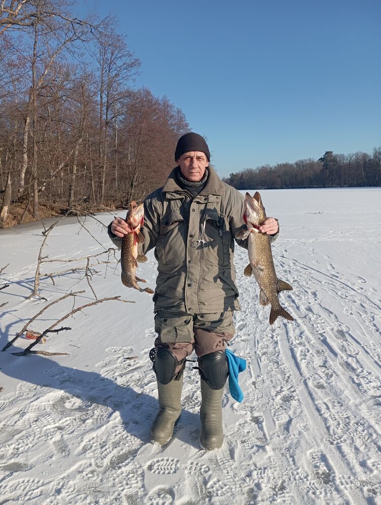 ���� 55778077 ������� ������, 57 ���, ���� ���������� � �������