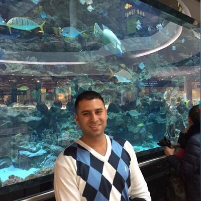  ,   Mudi, 38 ,   ,   , c 