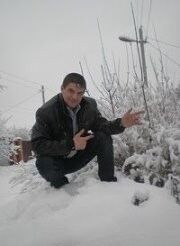  -,   , 43 ,   ,   , c 